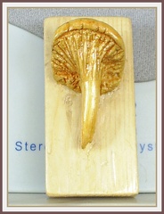 talla madera- cantarellus cibarius-r 20090712 1683376287