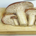 talla madera- grupo pleurotus eryngii 20090712 1618975520