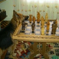 mesa de ajedrez 009 20110317 1242253245