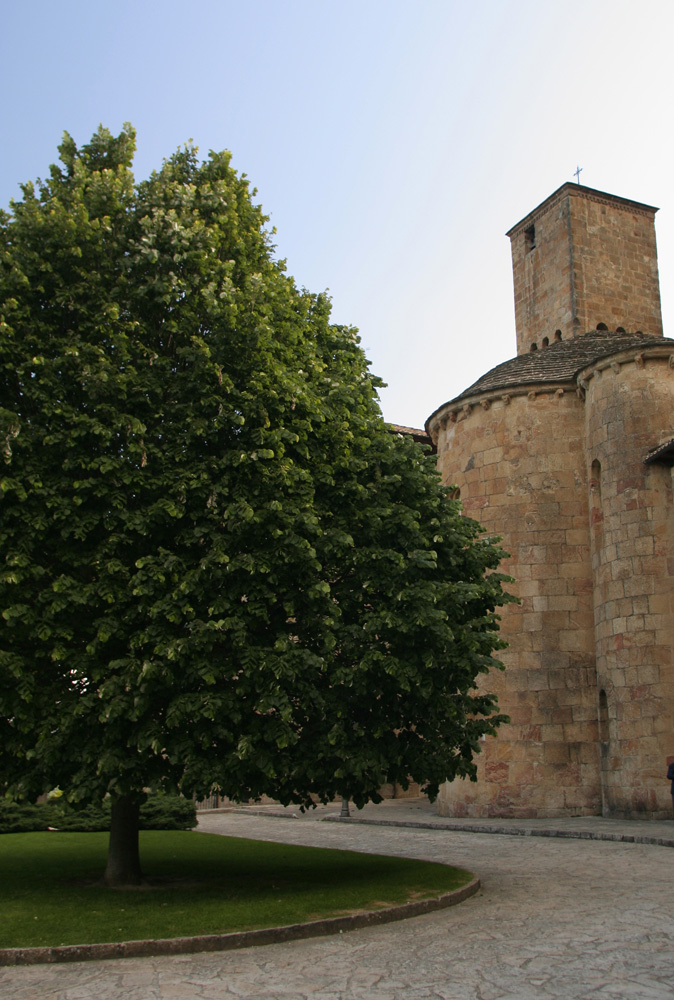 Tilo favorito (Monasterio románico de Leyre)