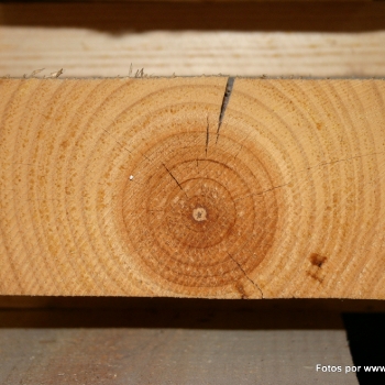 Fotos de madera_1