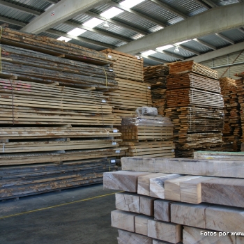 Fotos de madera_21