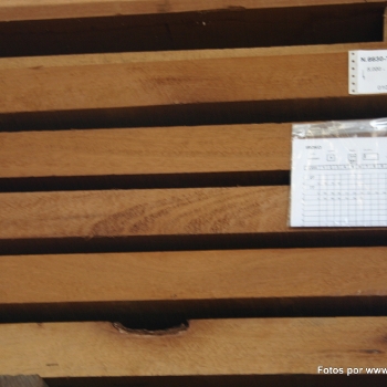 Fotos de madera_23