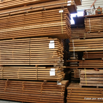 Fotos de madera_24