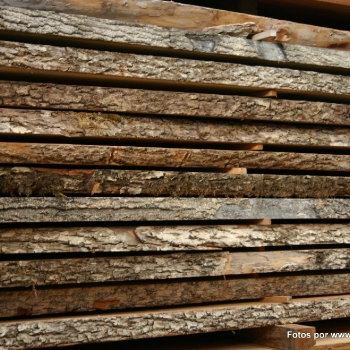 Fotos de madera_26