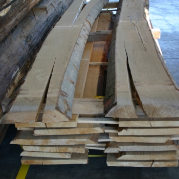 Fotos de madera_17