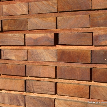 Fotos de madera_07