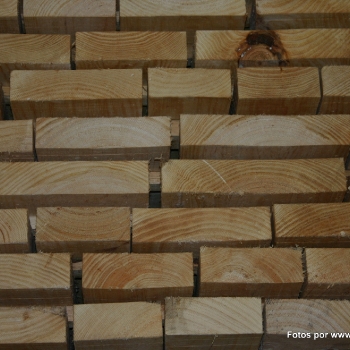 Fotos de madera_2