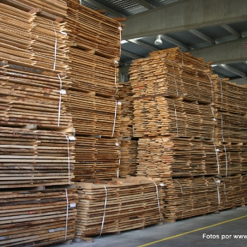 Fotos de madera_35