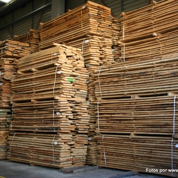Fotos de madera_36