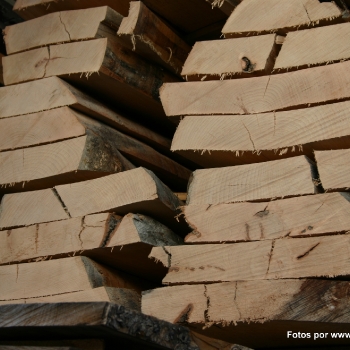 Fotos de madera_37