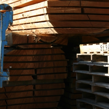 Fotos de madera_38