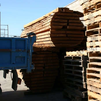 Fotos de madera_39
