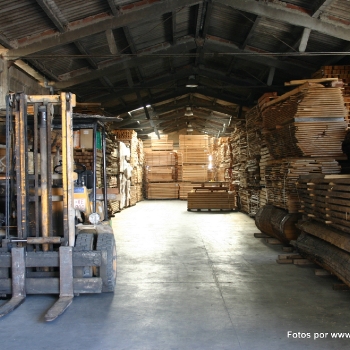 Fotos de madera_13