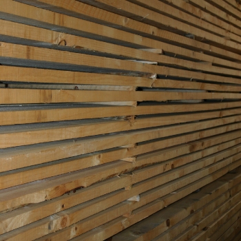 Fotos de madera_3