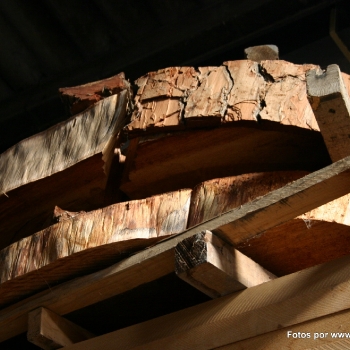 Fotos de madera_46