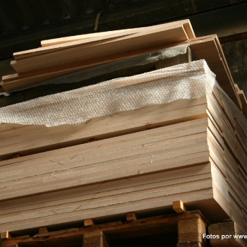 Fotos de madera_47