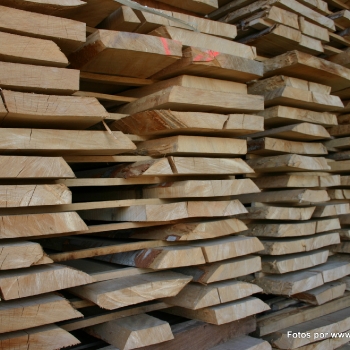 Fotos de madera_14