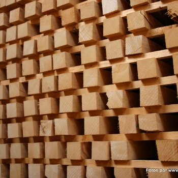 Fotos de madera_50