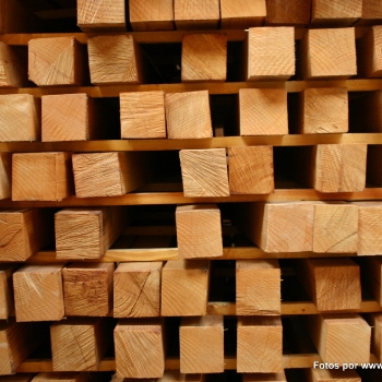 Fotos de madera_51