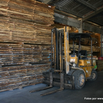 Fotos de madera_5