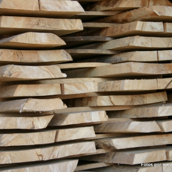Fotos de madera_15