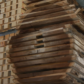 Almacen secado madera
