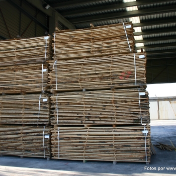 Fotos de madera_20