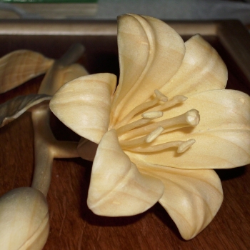 Woodcarving Lilium flower.II