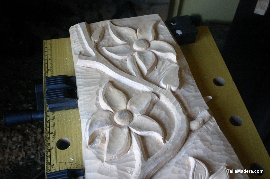 El relieve completo, visto en escorzo