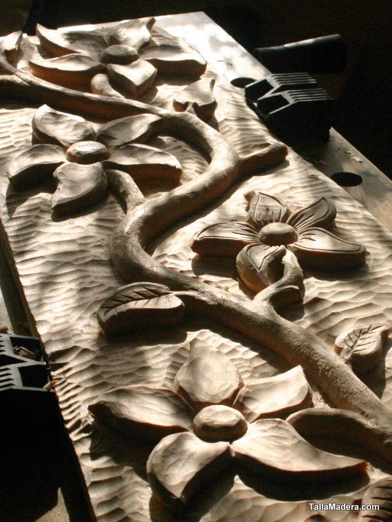 Detalle del tallo y las hojas en luz rasante