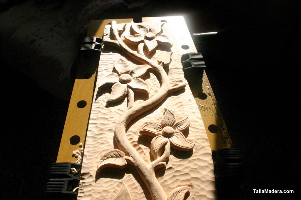 El relieve de flores con la firma de Feli (2008)