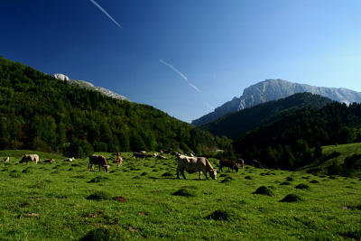 Prados de Zuriza, en el Pirineo aragonés