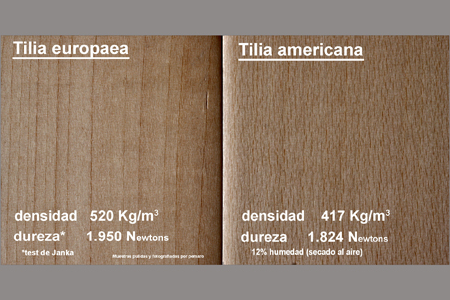 Comparativa del tilo europeo y el americano (densidad y dureza)
