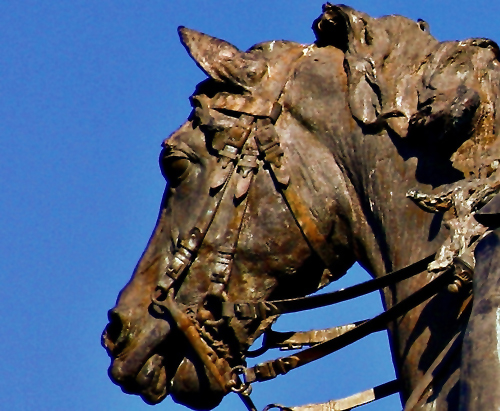 Cabeza del caballo del monumento ecuestre a Alfonso XII, de Mariano Benlliure