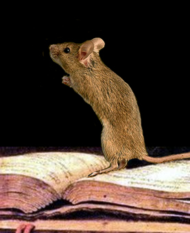 Un ratón sobre un libro antiguo abierto