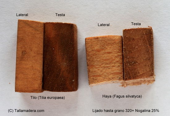 diferencias_tilo_haya_nogalina