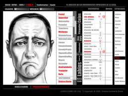 Interfaz de ARTNATOMY, herramienta de anatomía del gesto facial
