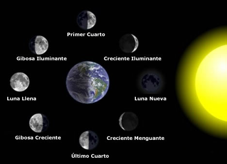 Diagrama de las fases de la luna