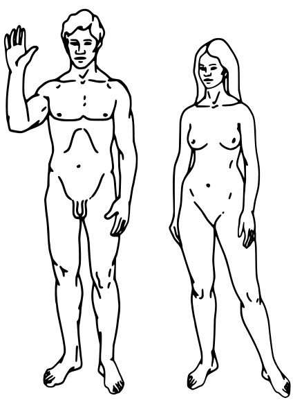 Dibujo de la placa de las sondas Pioneer y Voyager, con la figura humana