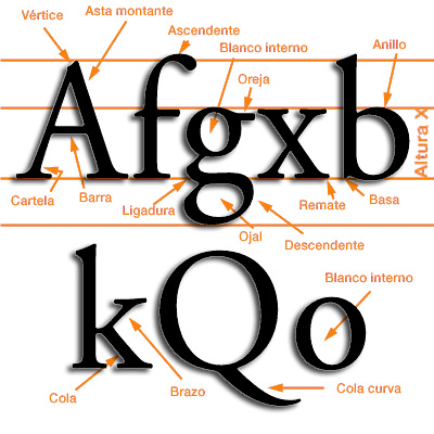 Anatomía de la letra: asta, remate, ojaldre, ligadura…