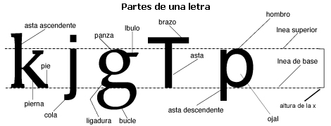 Las partes de una letra: asta, panza, ligadura, ojaldre…
