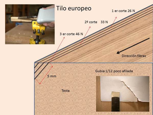 Gráfico de la fuerza de corte en tilo: 26 N, 33 N y 46 N