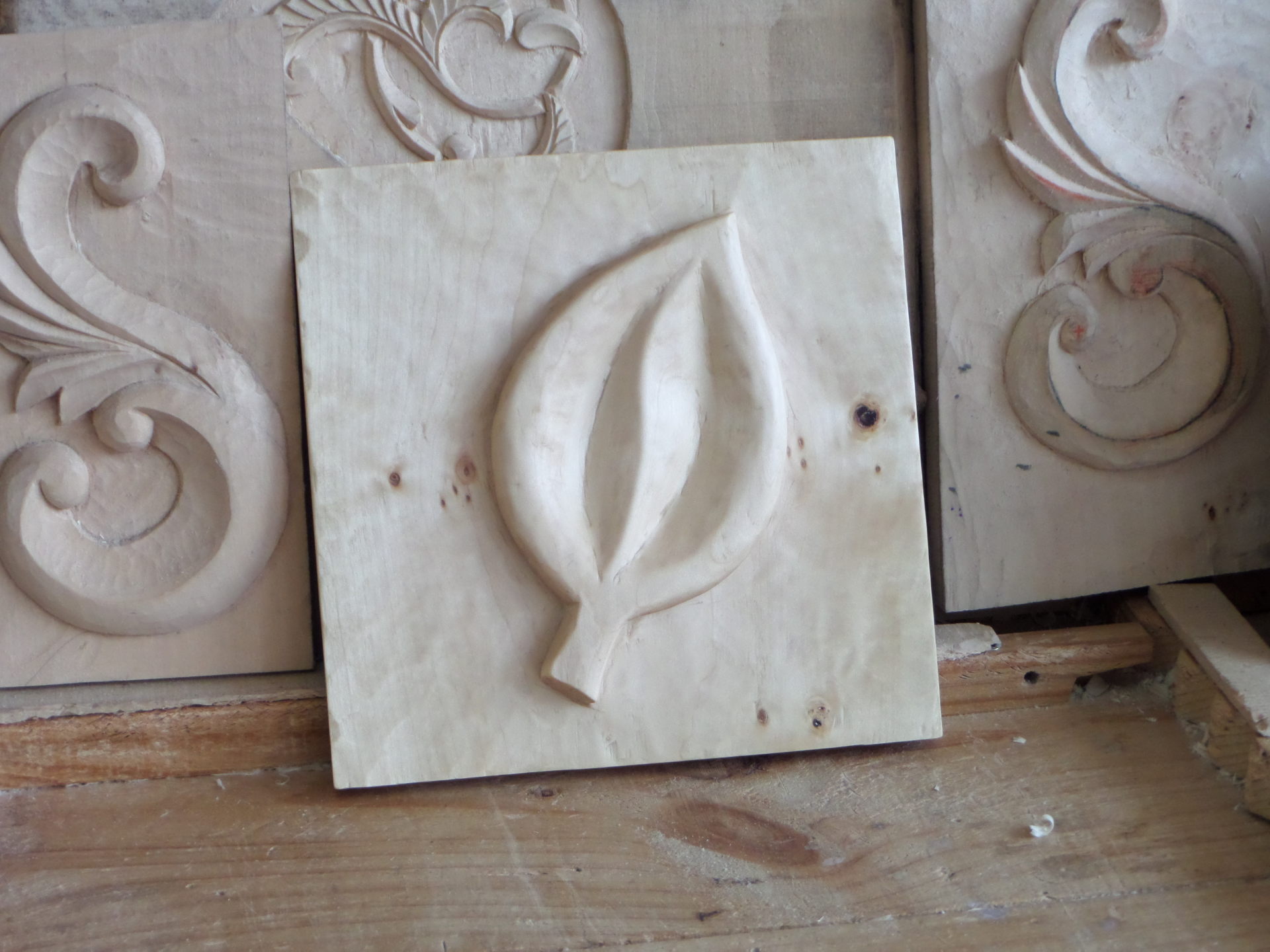 Hoja de Tallamadera con el relieve marcado